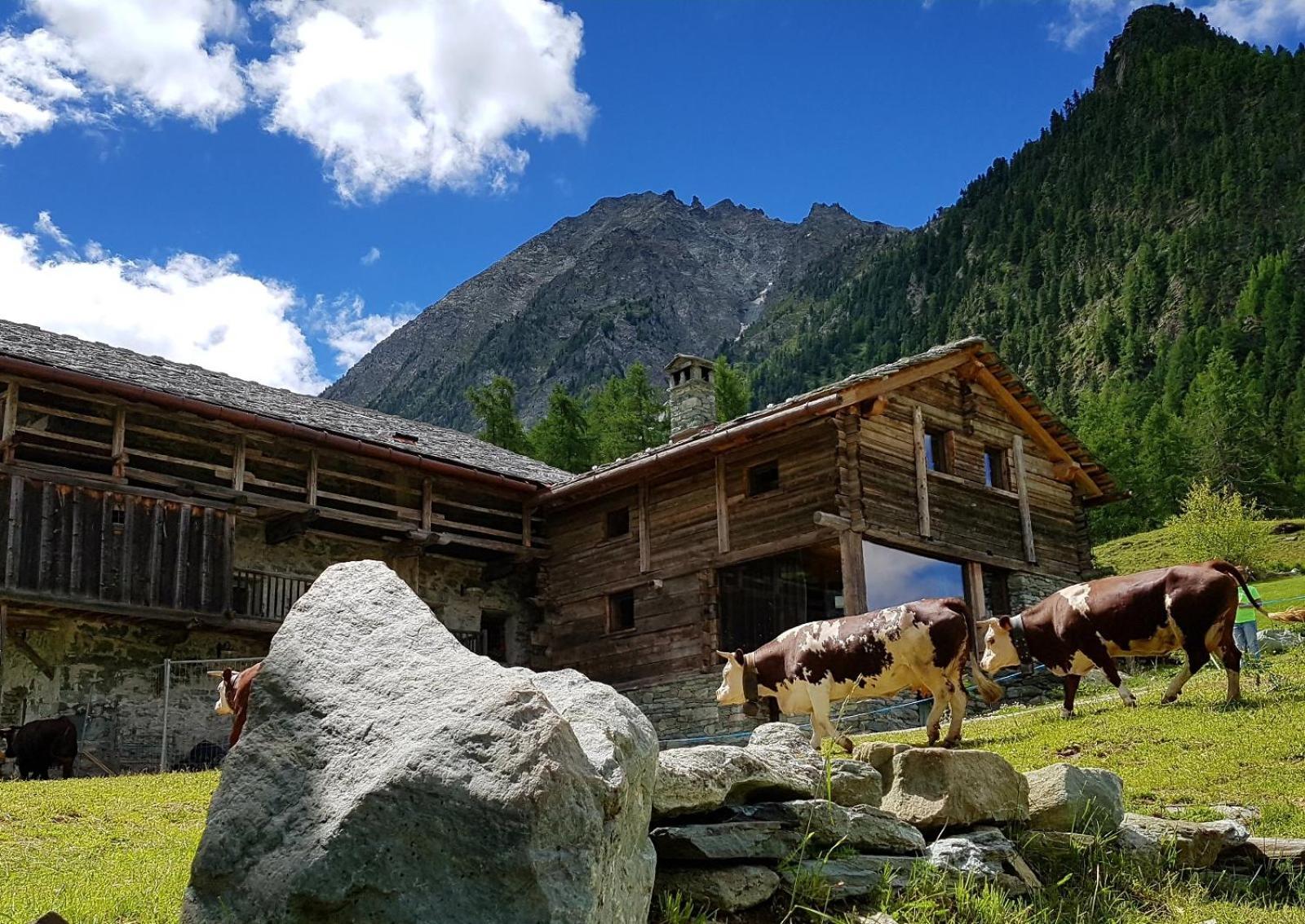 Incantevole In Rascard Vda Ayas 0139 * Champoluc